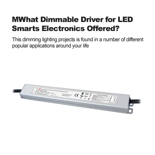 Welcher dimmbare Treiber für LED-Smarts-Elektronik wird angeboten?
