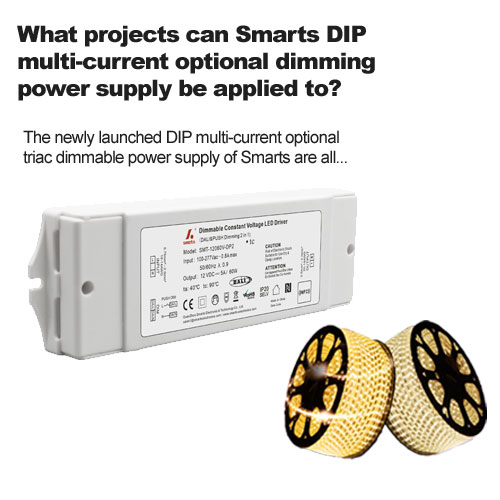 Für welche Projekte kann das optionale Smarts DIP Multistrom-Dimmnetzteil verwendet werden?